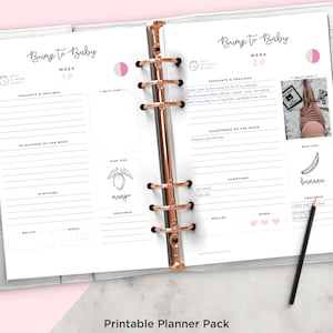 Op de afbeelding: Een printbare zwangerschapsplanner met een witte achtergrond en roze accenten. De planner is verdeeld in twee secties, een voor week 19 en een voor week 20. Elke sectie bevat ruimte voor gedachten en gevoelens, mijlpalen van de week, symptomen, gewicht, stemming en verlangens. De planner bevat ook een ruimte voor een buikfoto en een tekening van een vrucht die de grootte van de baby voorstelt.