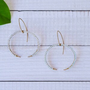 Horn Stone Earring