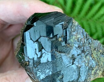 California Andradite Garnet on Matrix // Garnet Hill // Cabinet Specimen