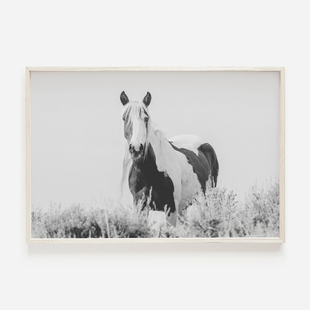 Wild Mustang in Desert, Black and White Horse Photo, Western Home Decor ...