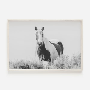 Wild Mustang In Desert, Black and White Horse Photo, Western Home Decor, Wild Horse Print, Landscape Printable, Black And White Decor