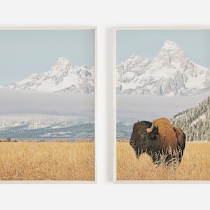 Bison in Tetons, 2er-Set, Bergbison-Foto, 2-teiliges Druckset, rustikales Wandkunst-Dekor, Western-Bison-Poster, Nationalpark-Druck