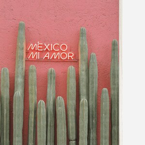 May include: A pink wall with a neon sign that reads "M&Eacute;XICO MI AMOR" in Spanish.  There are multiple tall green cactus plants in front of the wall.