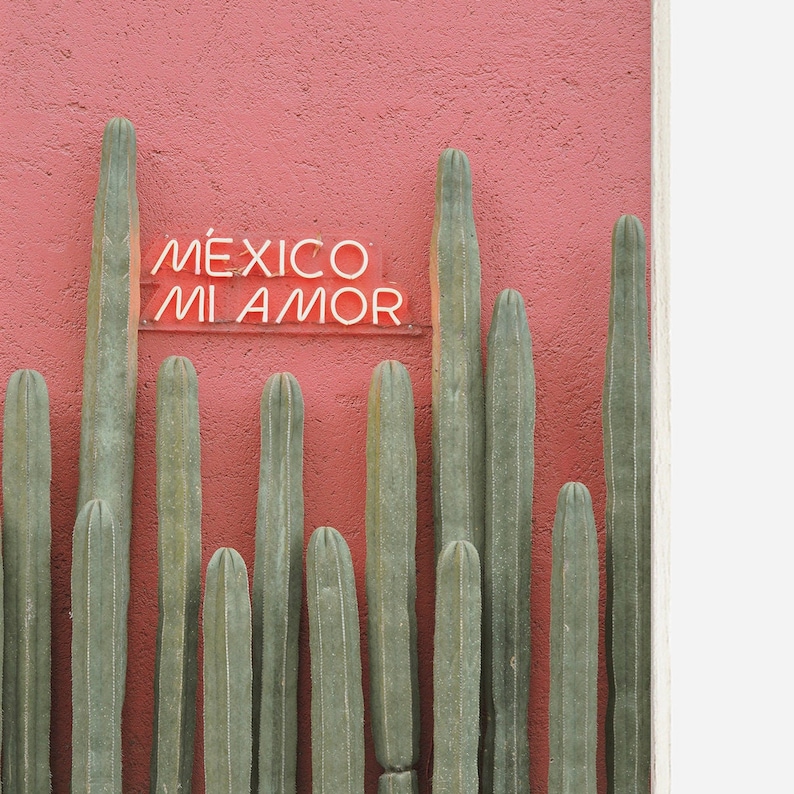 May include: A pink wall with a neon sign that reads "M&Eacute;XICO MI AMOR" in Spanish.  There are multiple tall green cactus plants in front of the wall.