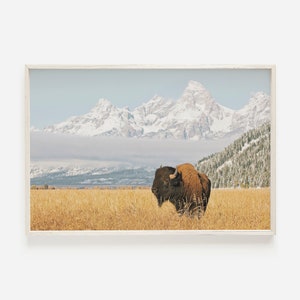Bison with Teton Mountains, Bison Wall Art, Western Home Decor, Buffalo Printable, National Park Print, Wildlife Photography