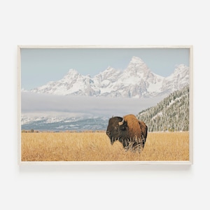 Bison mit Teton Berge, Bison Wandkunst, Western Home Decor, Buffalo Printable, Nationalpark Print, Wildtierfotografie