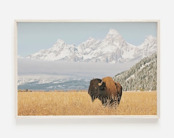 Bison with Teton Mountains, Bison Wall Art, Western Home Decor, Buffalo Printable, National Park Print, Wildlife Photography