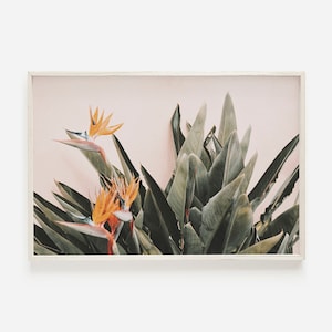 Blumendruck, tropische Wandkunst, Paradiesvögel, tropische Drucke, Sommer Wanddekor, herunterladbarer Druck, druckbare Kunst