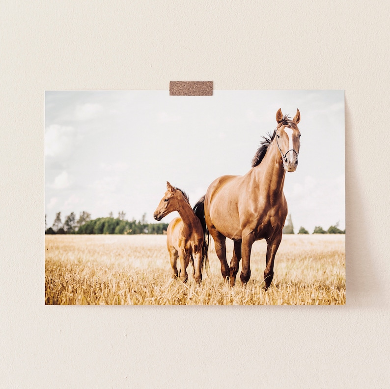 Horse Wall Art Horses in Field Farmhouse Print Farm Etsy
