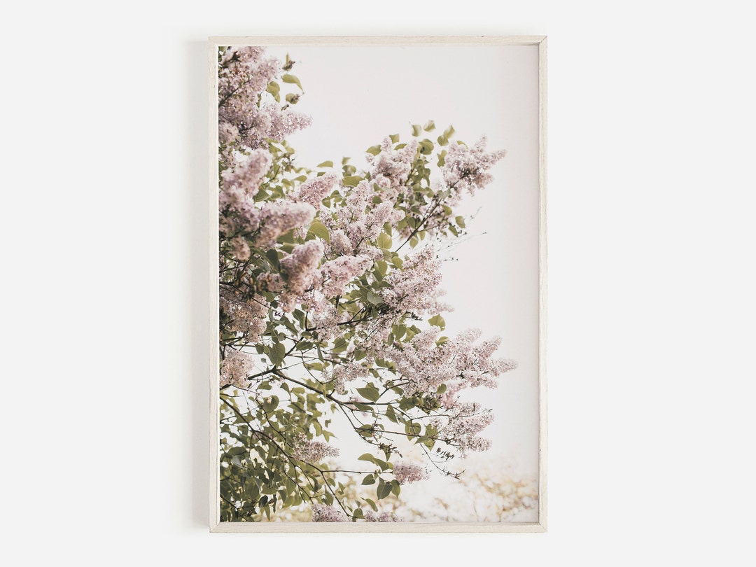 Hydrangea Wall Art, Flower Wall Art, Downloadable Prints, Spring Floral ...