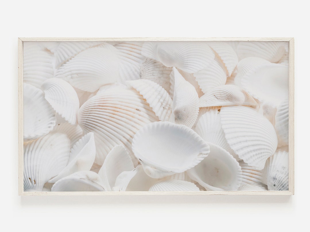 Ocean Shell Digital Frame Samsung Frame TV Art | Sea Shell Photo | Neutral Beach TV Art | Boho ...