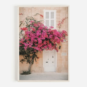 Impresión de buganvilla, arte de la pared de Grecia, foto mediterránea, impresión de arquitectura, arte de la pared del edificio griego, flores rosas en la pared, impresión de Grecia