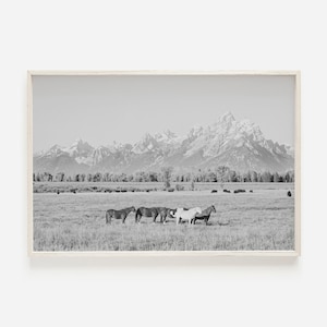 グランド ティトンの馬、白黒の馬のアート、馬の風景、野生の馬の印刷物、白黒の自然の装飾、素朴なアート