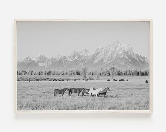 Konie w Grand Teton, Czarno-biała sztuka koni, Krajobrazy koni, Dzikie konie do druku, Czarno-białe dekoracje natury, Rustykalna sztuka