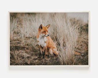 Fox in Field Wall Art, Wildlife Photography, Fox Wall Art Print, Rustic Home Decor, Fox Printable, Western Decor