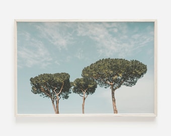 Arte de la pared de la Toscana Italia, cartel del pino paraguas, campo rústico imprimible, fotografía de la Toscana, decoración del paisaje de Italia, paisaje del país del vino