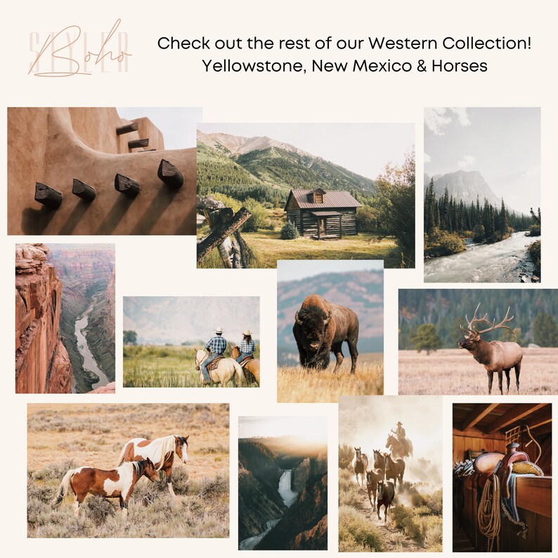 May include: A collage of images showcasing the beauty of the American West. The images include a rustic cabin in the mountains, a herd of horses running through a field, a bison grazing in a meadow, a river flowing through a forest, and a red rock canyon. The text "Check out the rest of our Western Collection! Yellowstone, New Mexico & Horses" is displayed at the top of the collage.