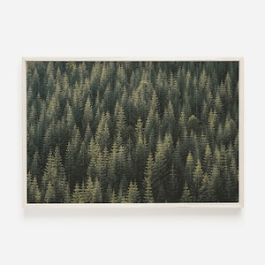 Mountain Forest Print, Pine Tree Photo, Landscape Photography, Cabin Wall Decor, Modern Rustic, Evergreen Forest Wall Art