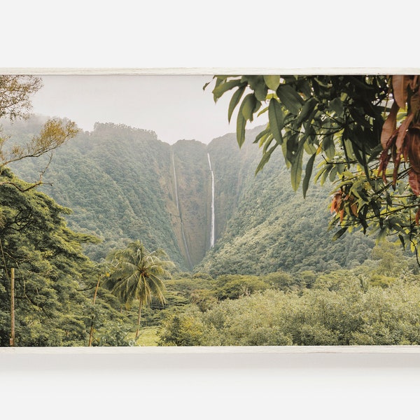 Samsung Frame TV Art | Hawaii Landscape Art | Hawaii Frame TV Art | Tropical Jungle Photo | Summer Frame TV Art | Hawaii Forest Digital Art