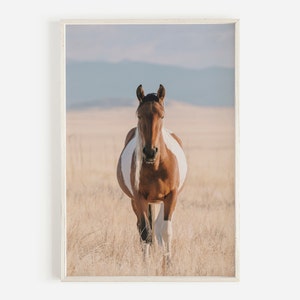 Western Horse Wall Art, Wild Horse Print, Cowboy Wall Art, Horse Poster, Large Wall Art, Wildlife Photography