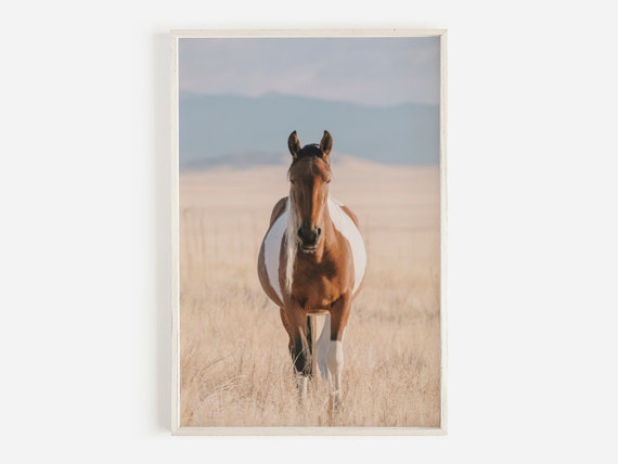 Western Horse Wall Art, Wild Horse Print, Cowboy Wall Art, Horse Poster, Large Wall Art, Wildlife Photography
