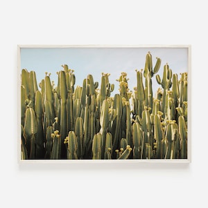 Row Of Cactus Print, Desert Photography, Mexico Wall Art, Cactus Landscape Print, Desert Cactus Decor, Mexico Landscape, Southwest Printable