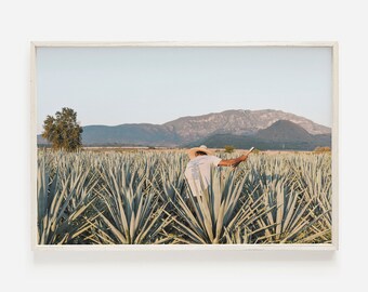 Bauer erntet Agavenpflanzen, Mexiko Viehzchterdruck, Tequila Farm  Wandkunst, Mexiko Agave Bauer, Agave Farm Poster, Mexiko Landwirtschaft -  Etsy Schweiz
