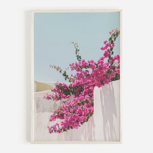 Estampado floral rosa, arte de la pared de buganvilla, foto de flores de Grecia, cartel floral de Santorini, fotografía de buganvillas, pared de flores de Grecia