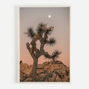 Joshua Tree Kalifornien, Wüstenlandschaft, Südwest-Wüste, Kaktusdruck, Wüstenwandkunst, Kalifornische Wüste, Joshua Tree Fotografie