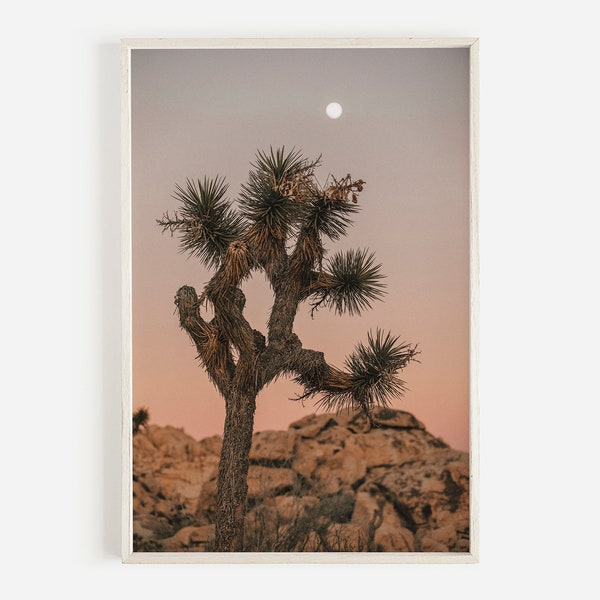 Joshua Tree en Californie, paysage désertique, désert du sud-ouest, impression de cactus, Art mural désert, désert californien, Joshua Tree Photography