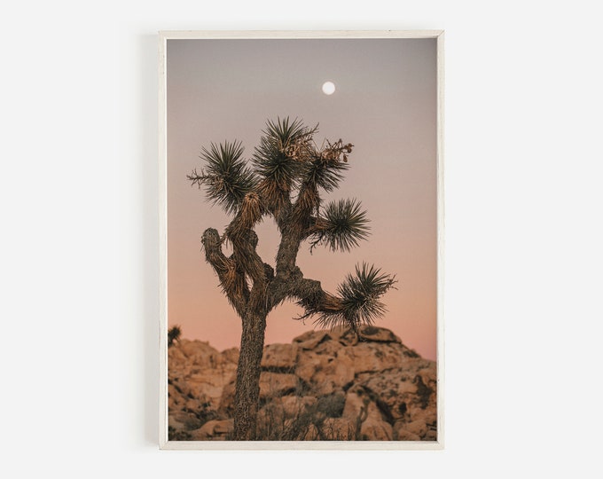 Joshua Tree California, Desert Landscape, Southwest Desert, Cactus Print, Desert Wall Art, California Desert, Joshua Tree Photography