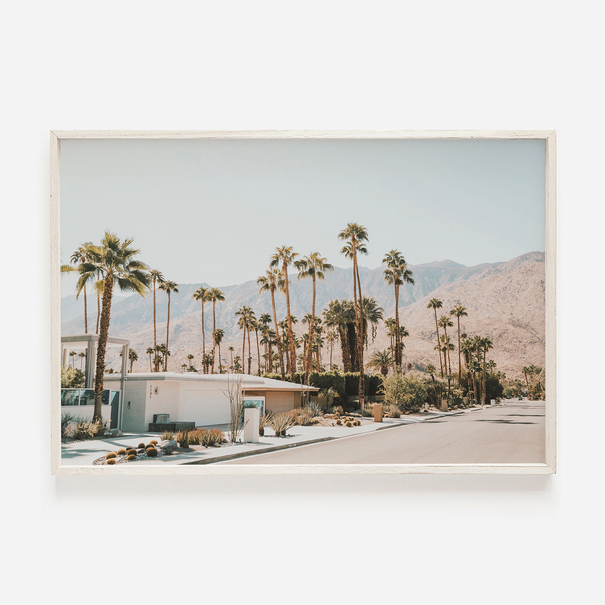 Palm Springs Street, California Desert Scenery, Palm Springs Landscape, Palm Tree Lined Street, Mid Century Modern Homes, Summer Desert Art