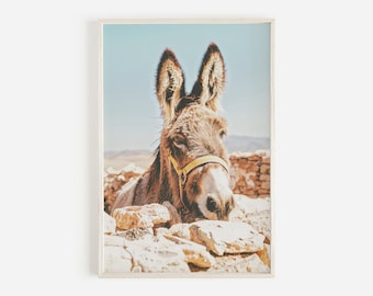 Donkey Wall Art, Greece Donkey Print, Boho Animal, Wildlife Photography, Desert Donkey Print, Desert Animal Wall Art, Boho Donkey Photo