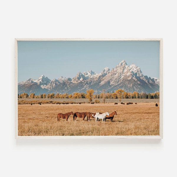 Horses in Wheat Field, Grand Teton National Park Photo, Wild Horse Print, Autumn Wall Art, Wildlife Photography