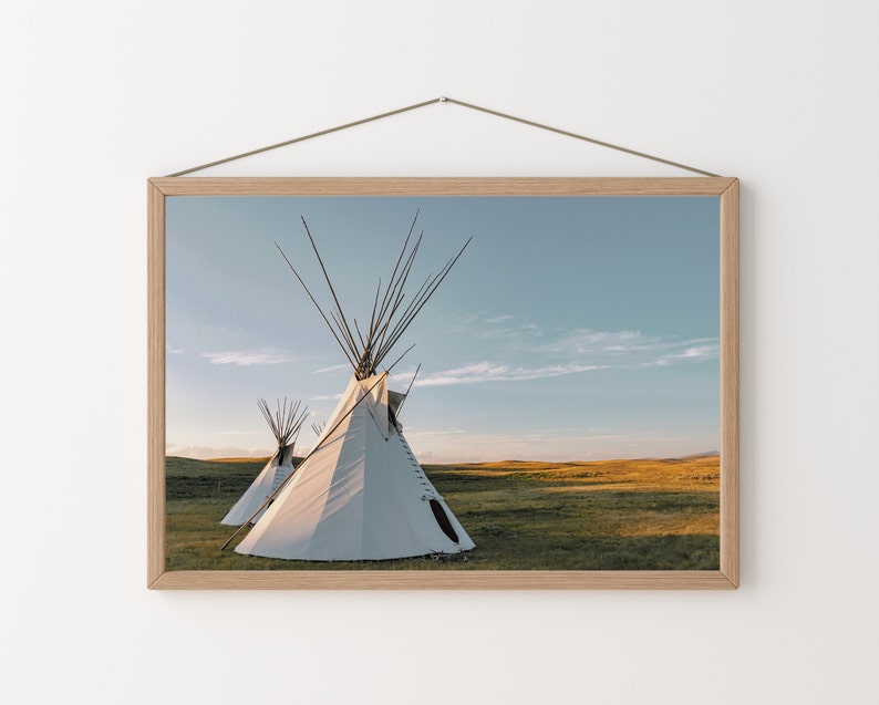 May include: Two white teepees stand on a grassy field against a blue sky with white clouds. The teepees are made of canvas and have wooden poles. The field is covered in green grass and there are some yellow wildflowers.