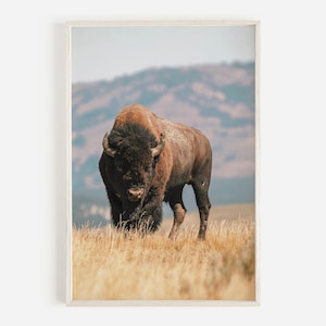 Buffalo Print, Wildlife Photography, Southwestern Decor, Farmhouse Wall Art, Rustic Home Decor, Buffalo Printable