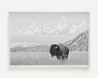 Bisonte blanco y negro en Grand Teton, decoración de bisonte de Wyoming, impresión casera rústica, arte digital de bisonte, foto de cabina moderna, bisonte blanco y negro