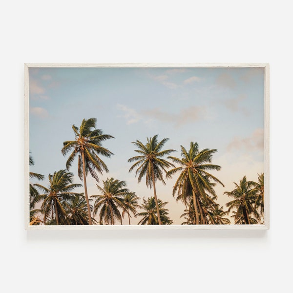 Impression palmier coucher de soleil, photographie de paysage de plage, art mural tropical imprimable, décoration murale côtière, estampes d'art d'été, art imprimable