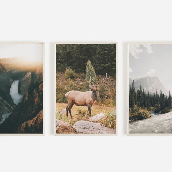 Western Landscape Print Set, Yellowstone River, Elk Wall Art, Forest Creek Photo, Set of 3 Prints, Mountain Print Set