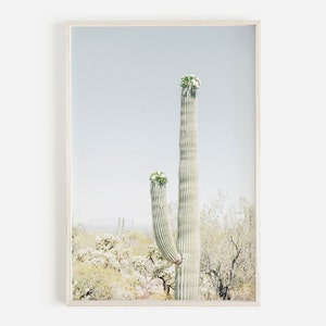 Blühende Saguaro Kaktus, Arizona Wüste Druck, westlichen Boho Kunst, druckbare Kunst, Sonoran Wüste, Wildnis Poster, Wüste Fotografie