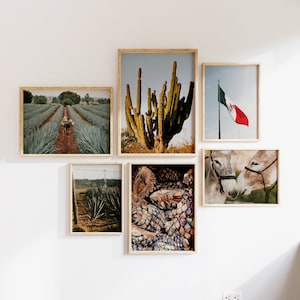 Iconic Mexico Print Set, Gallery Bundle Posters, Tequila Wall Art, Mexico Flag, Agave Plant Prints, Mexico Heritage Prints, Burro Wall Art