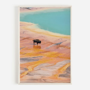 Op de afbeelding: Een zwarte bison loopt over een kleurrijk, mineraalrijk landschap met een turquoiseblauw waterbekken op de achtergrond.