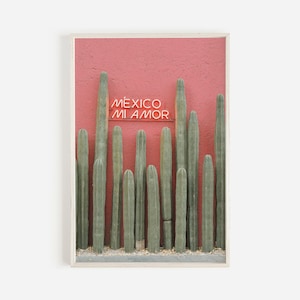 May include: A red wall with a neon sign that reads "M&Eacute;XICO MI AMOR" in front of a row of tall green cacti.