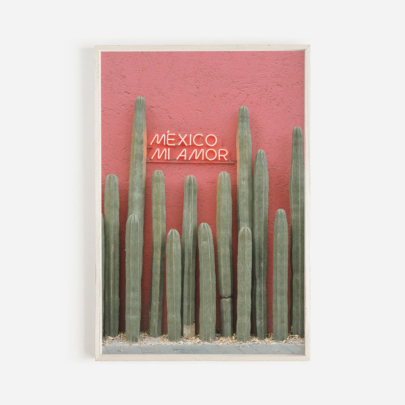 May include: A red wall with a neon sign that reads "M&Eacute;XICO MI AMOR" in front of a row of tall green cacti.
