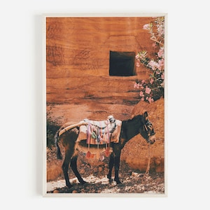 Hydra Wall Art, Greece Print, Donkey Photography, Desert Donkey Print, Greece Donkey Wall Art, Greece Wall Art, Downloadable Print