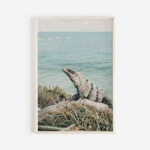 Tulum Iguana Print, Ocean Iguana Wall Art, Lizard Printable, Tulum Mexico, Tulum Iguana Photo, Wildlife Photography, Blue And Gray Wall Art
