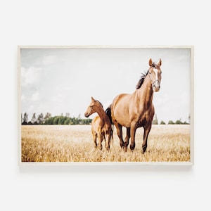 Horse Wall Art | Horses In Field | Farmhouse Print | Farm Animal Print | Downloadable Print | Printable Art