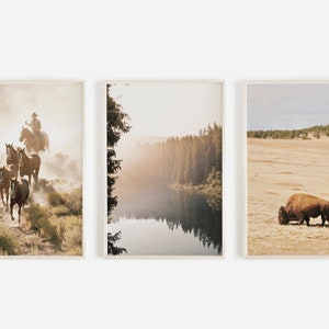 Rustic Western Print Set, Cowboy Wall Art, Large Bison Poster, Print Set, Forest Pond Photo, Set of 3 Prints
