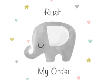 Rush My Order Service, Rush Processing