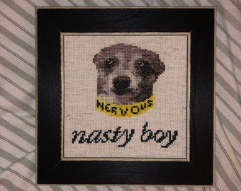 Jenna Marbles&#39; Kermit &quot;Nasty Boy&quot; Cross Stitch Pattern